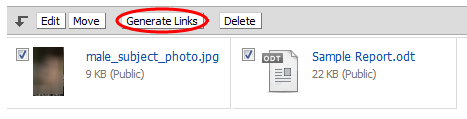 generate_file_links.png